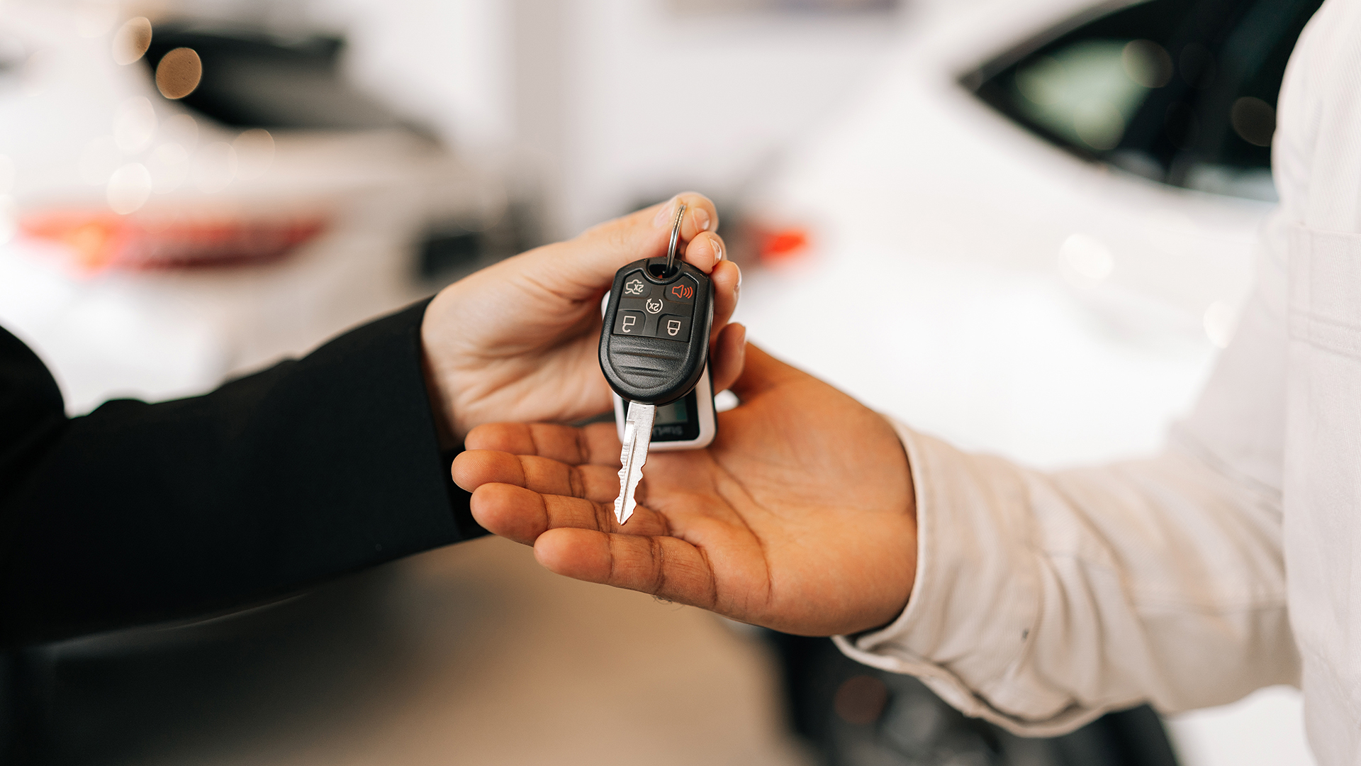 Image-7-1.jpg Image-7-1.jpg